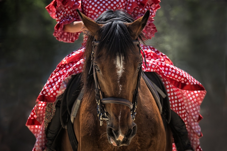 Tradiciones españolas caballo en feria