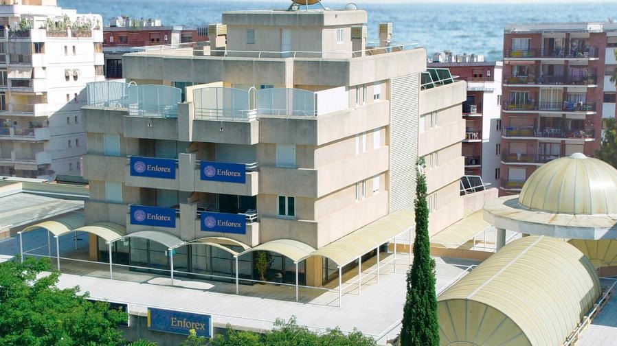 Enforex Marbella | Tu puerta de entrada al español en la Costa del Sol