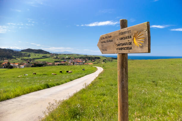 Señal de madera del Camino de Santiago con vieira indicando distancias.