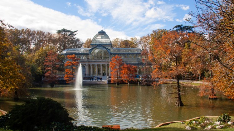 Aprender español en Madrid durante el otoño